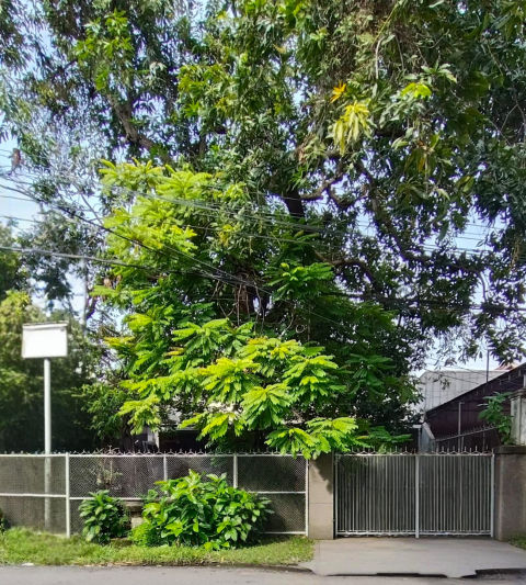 Dijual Rumah Jalan Gubeng Surabaya Pusat